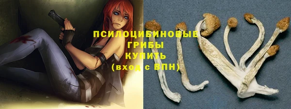 таблы Богородск
