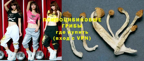 крисы Няндома