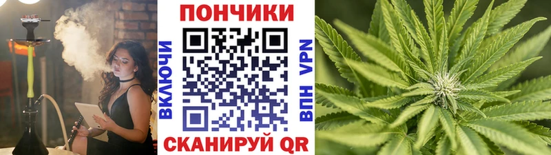 купить наркотик  мега ссылка  Бошки Шишки планчик  Юрга 